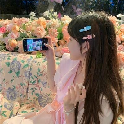 兰闺飞凤
